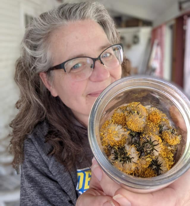Dehydrated Dandelion Flowers… how & why Souly Rested