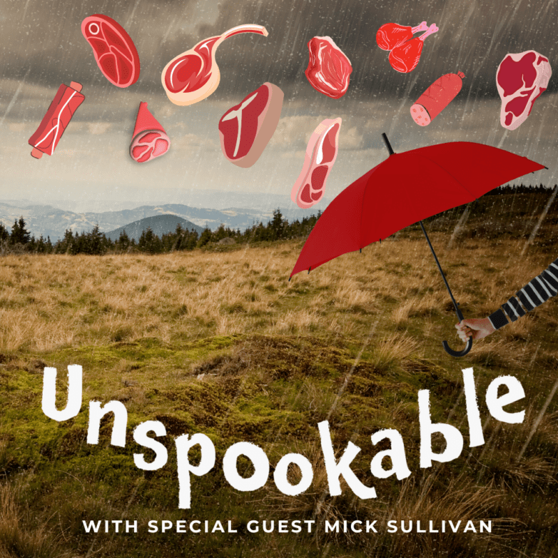 Episode 44 The Kentucky Meat Shower with Mick Sullivan of The Past and