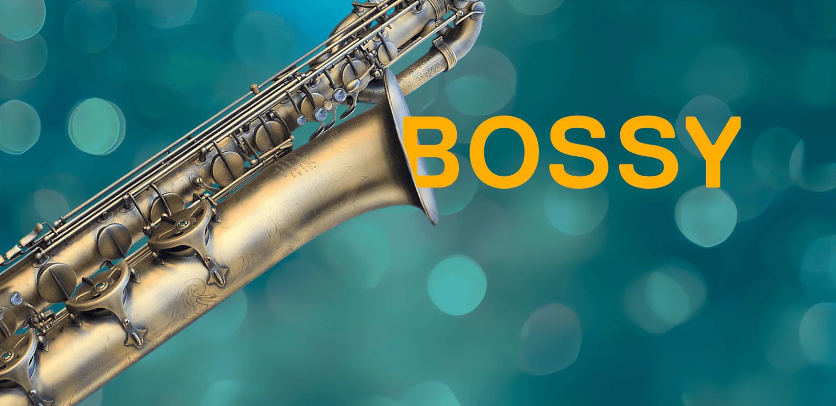 Soundpaint 1970 Baritone Saxophone Barry Soundpaint Bari Sax with