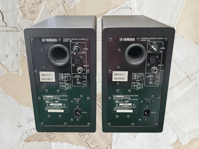 The Definitive Yamaha HS5 Review in 2024 | Iconic design