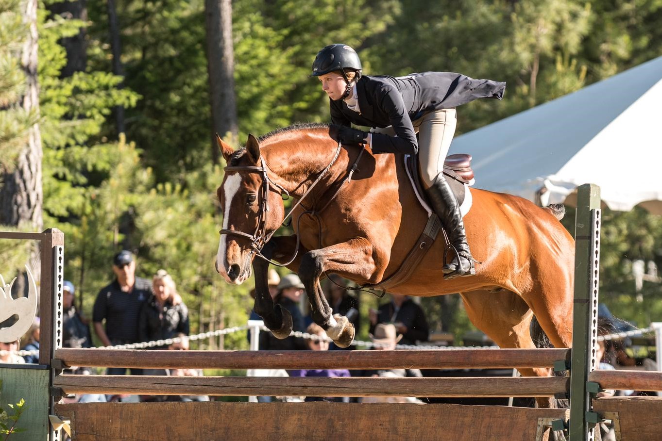 Soundview Hunter Jumpers