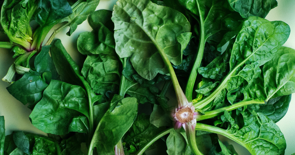 Spinach 101 Everything You Need To Know About Your Green Friend