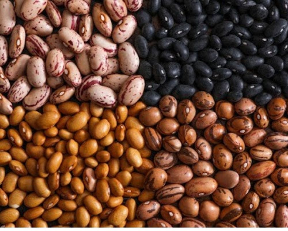 Amazing Historical Facts of Beans You Should Know