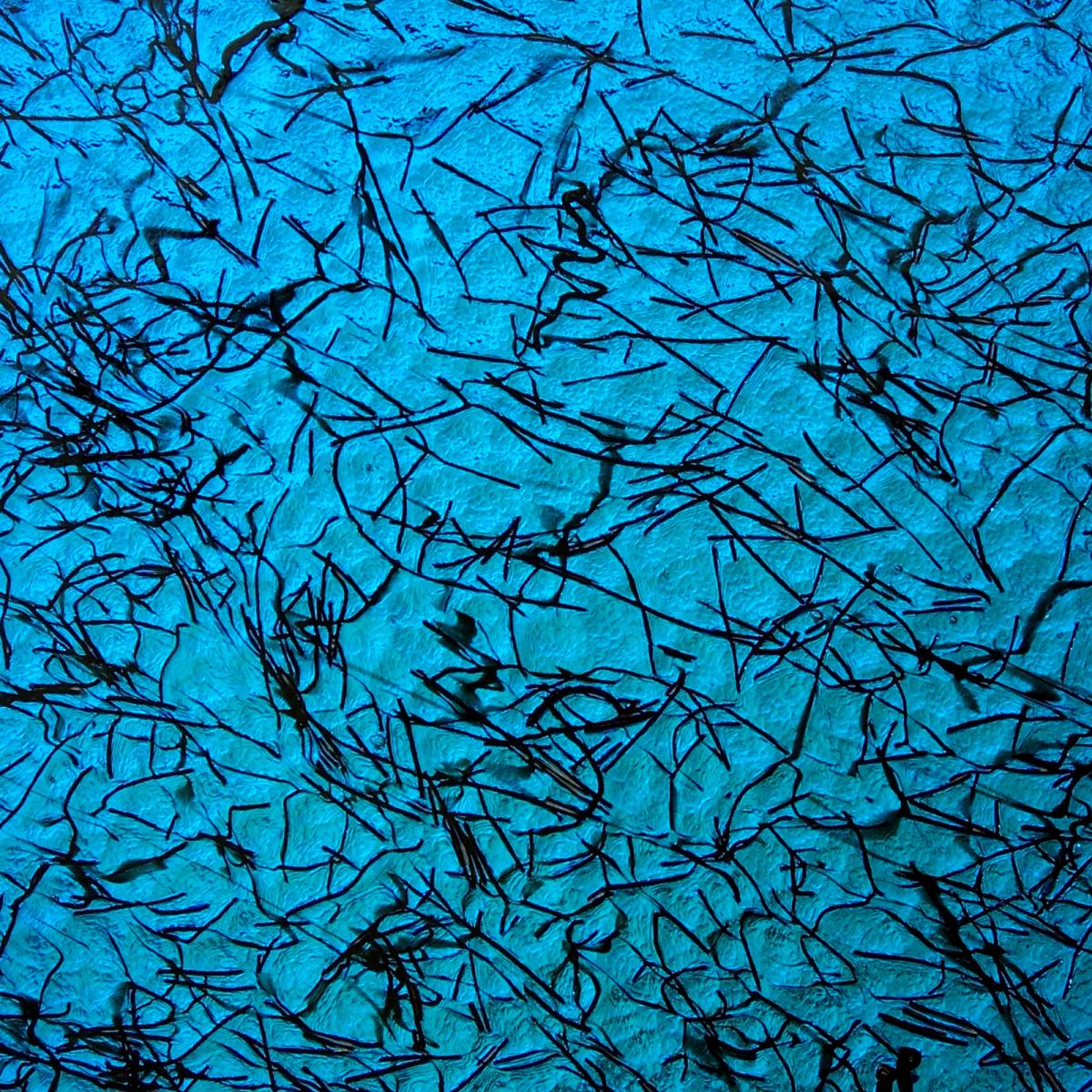 Exceptional Glass Finishes from CBS Coatings by Sandberg SourceBook