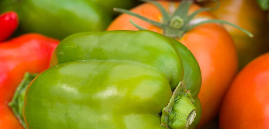 Addressing the complexities of growing produce in Colorado