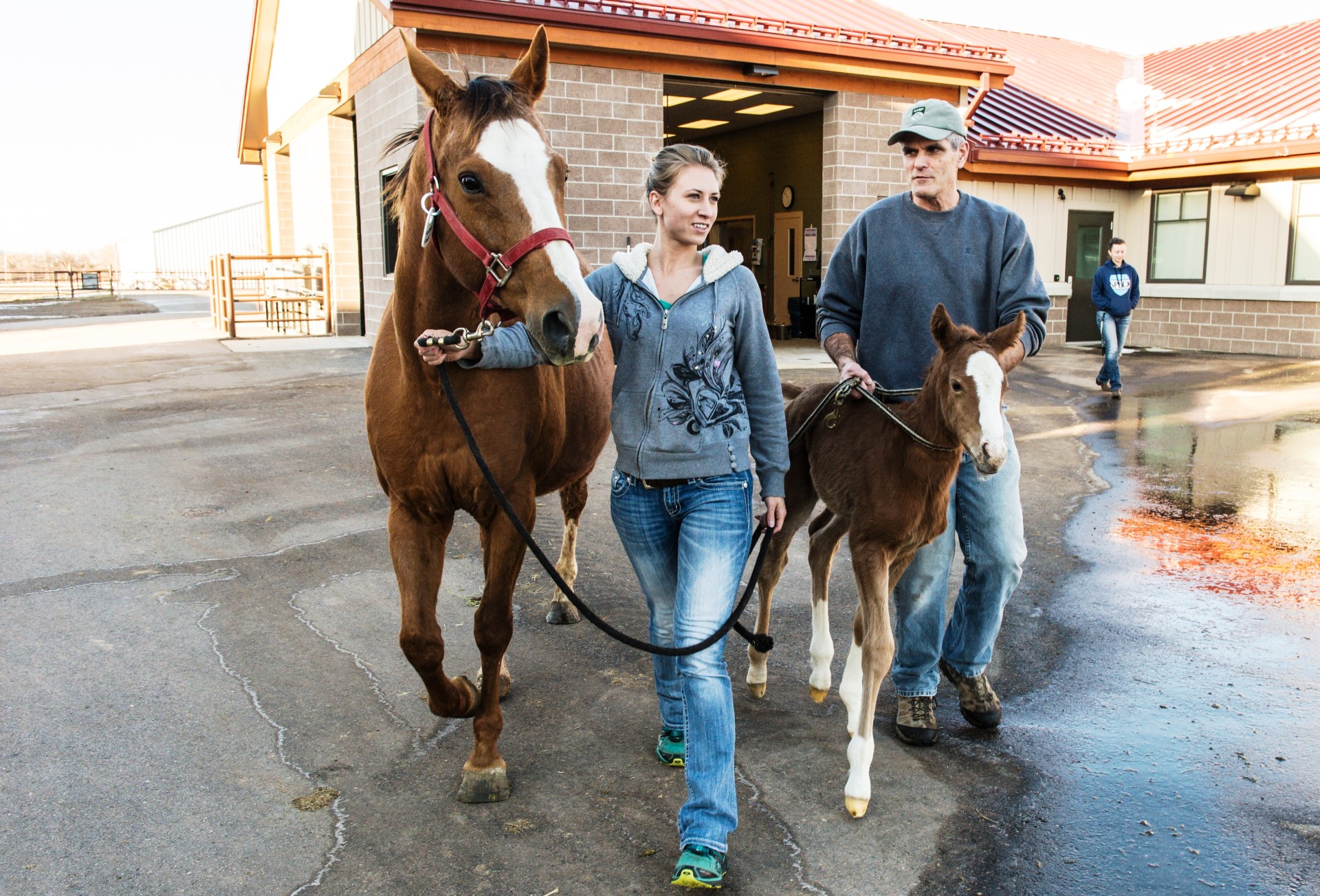 New life at the Equine Reproduction Laboratory SOURCE Colorado
