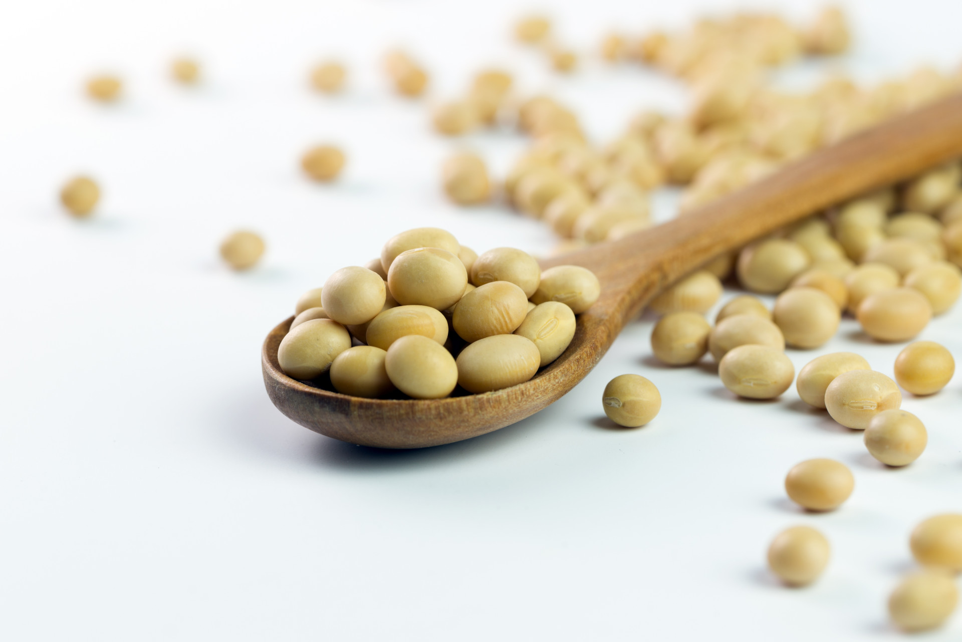 Soy Types, Benefits, And Nutrition