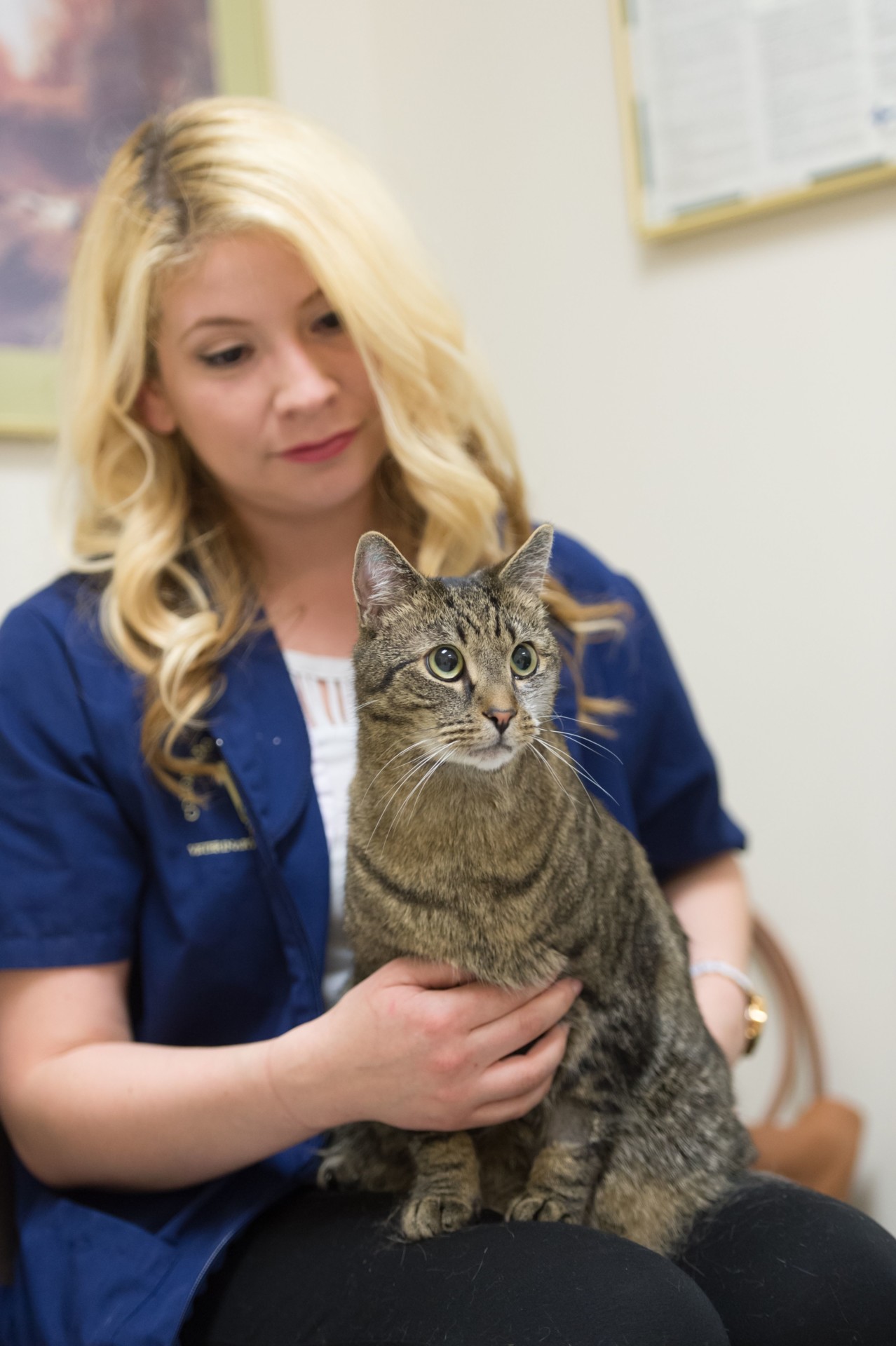 Don’t just muse about veterinary student debt take action to help