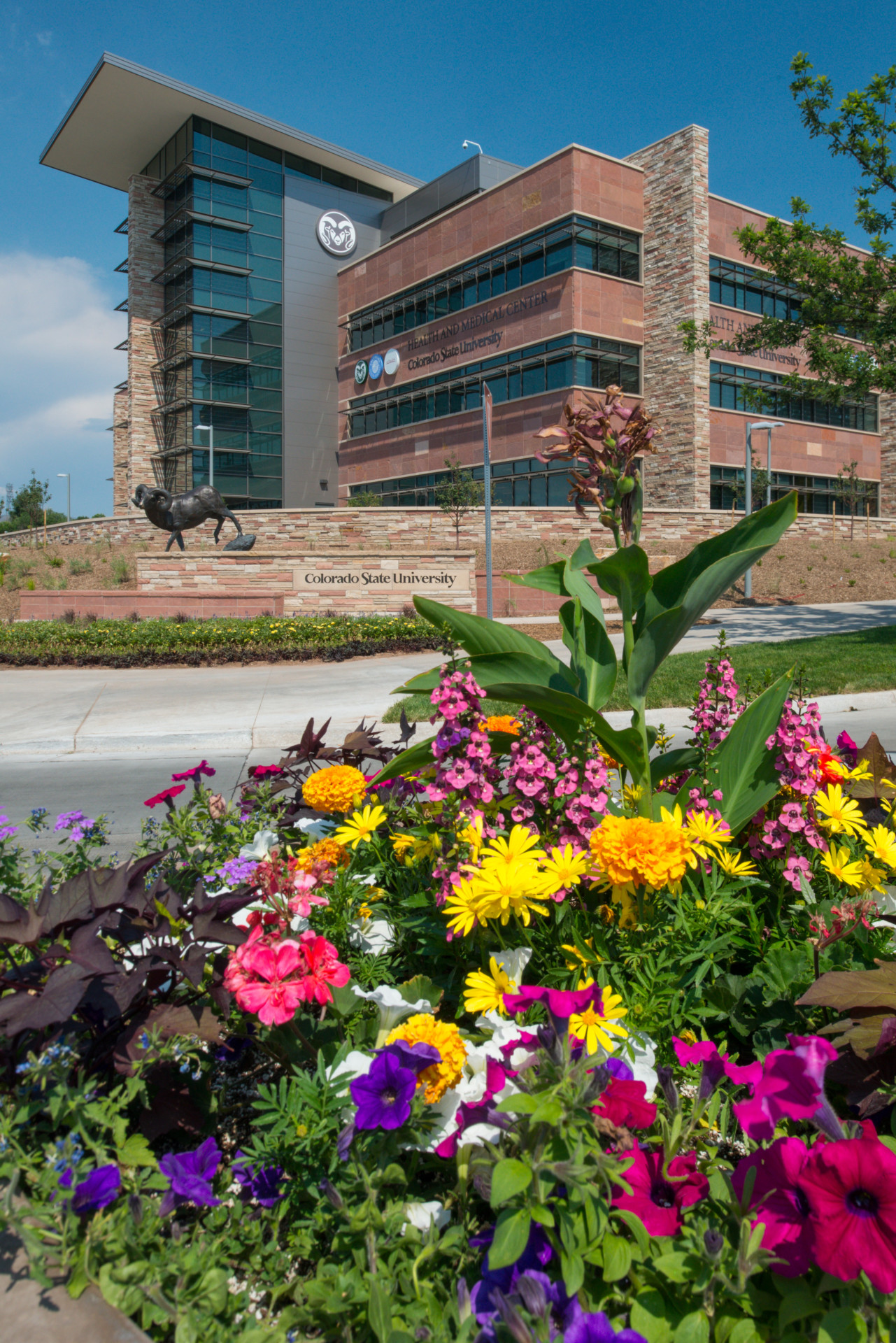 New CSU Health and Medical Center hosts Community Open House July 29