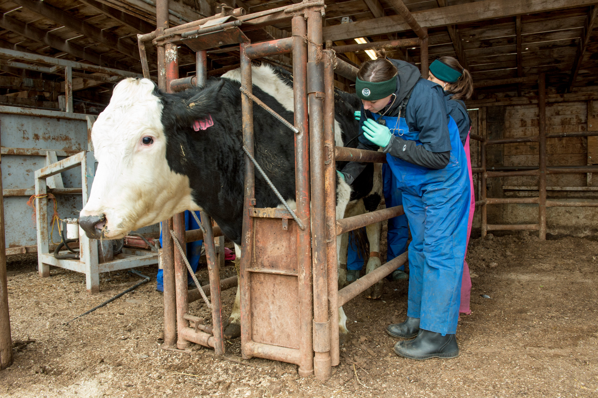 Rural relief Governor signs veterinary debt assistance bill SOURCE