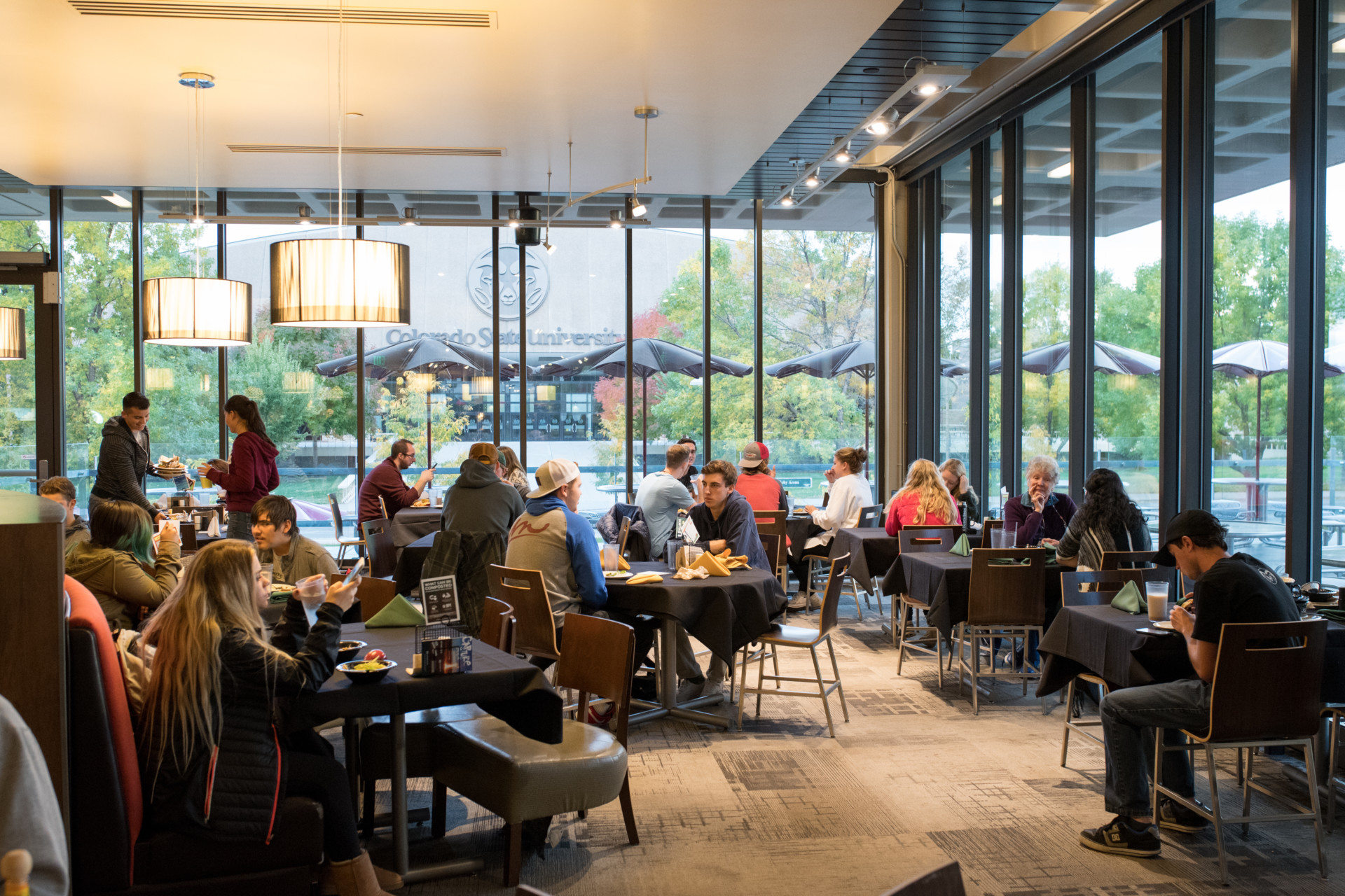 Who says there’s no such thing as a free lunch?