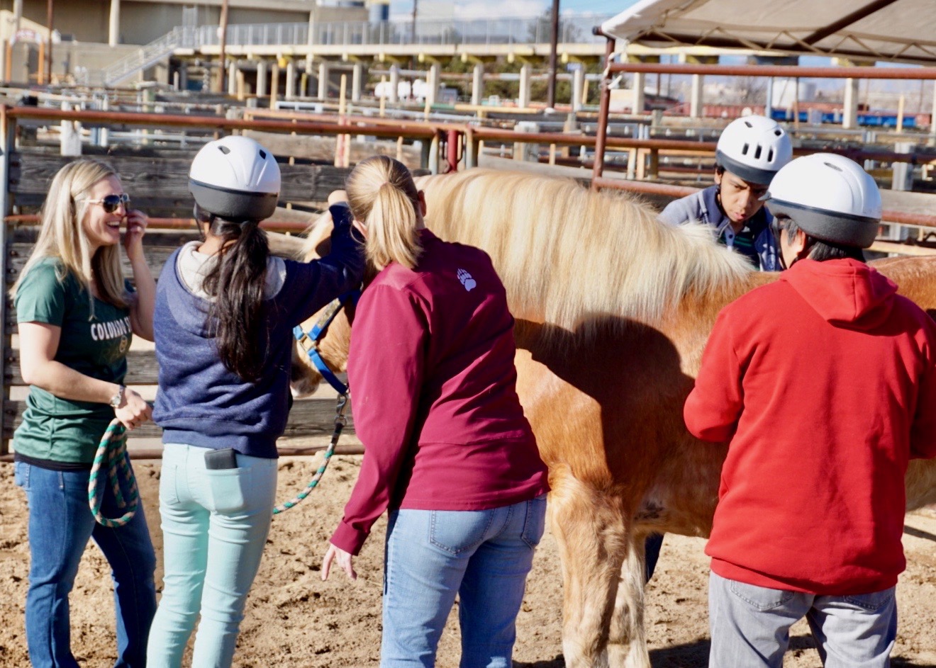 Temple Grandin Equine Center opens doors to Denver community