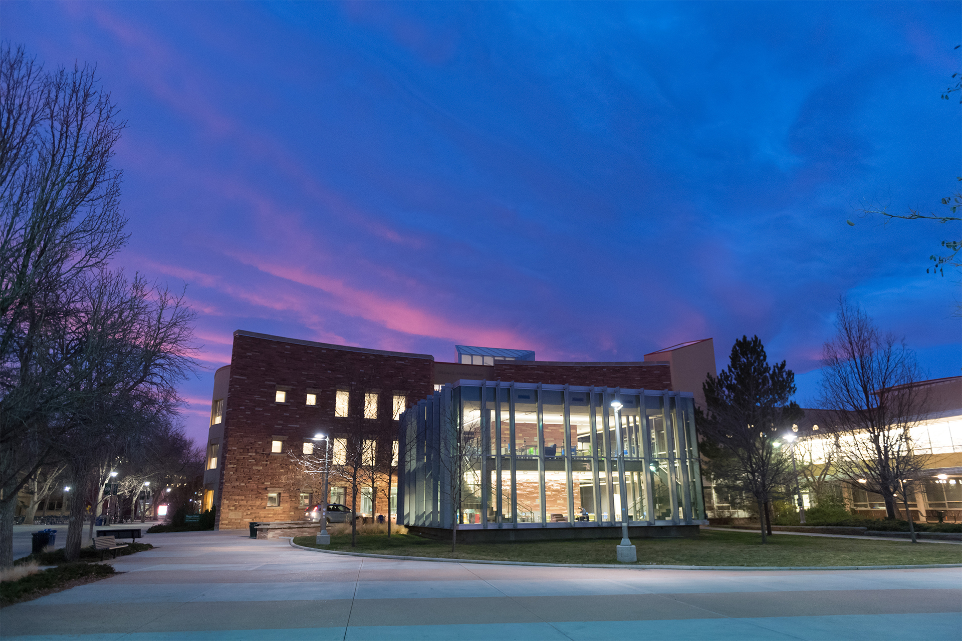 CSU Libraries are still here for faculty and students