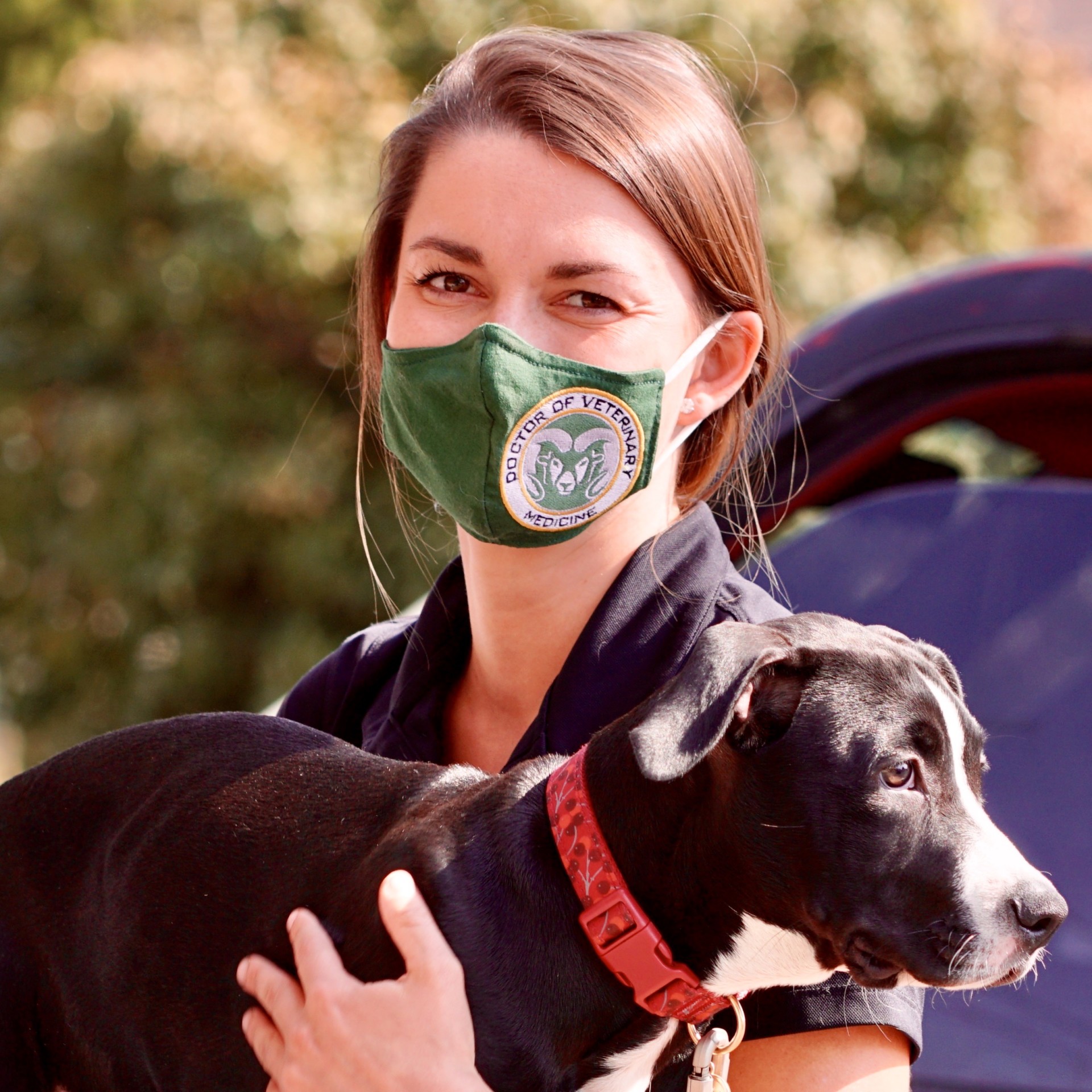 PetSmart Charities funds CSU study to improve veterinary care for