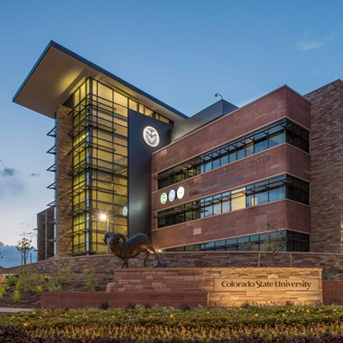 CSU Health Network creates innovative approaches to student mental