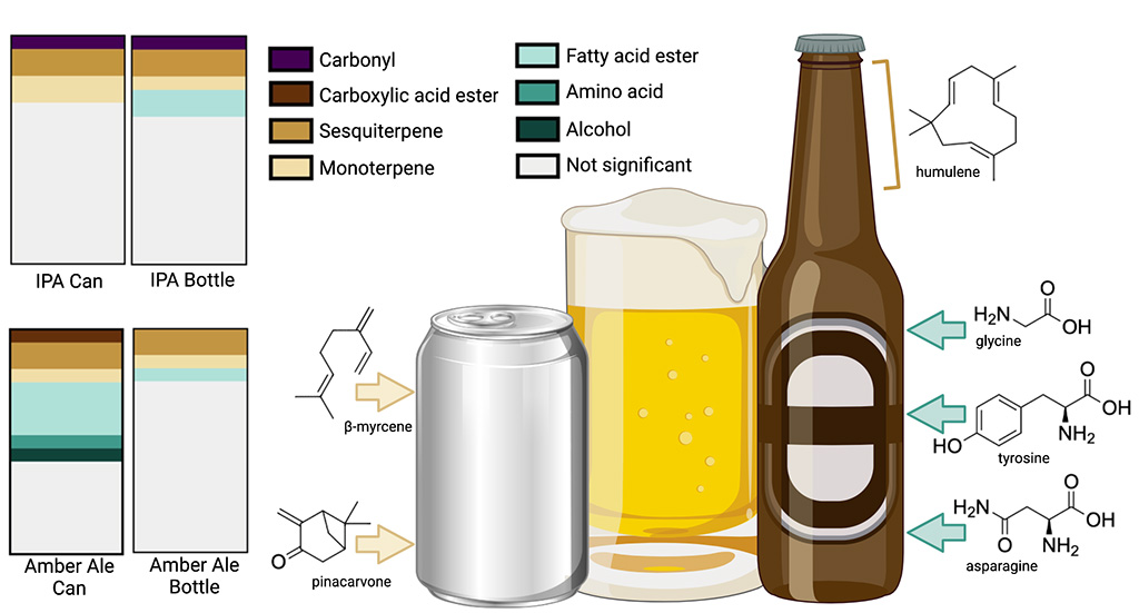 Bottled vs. Canned Beer Which one ages better? (according to CSU research)