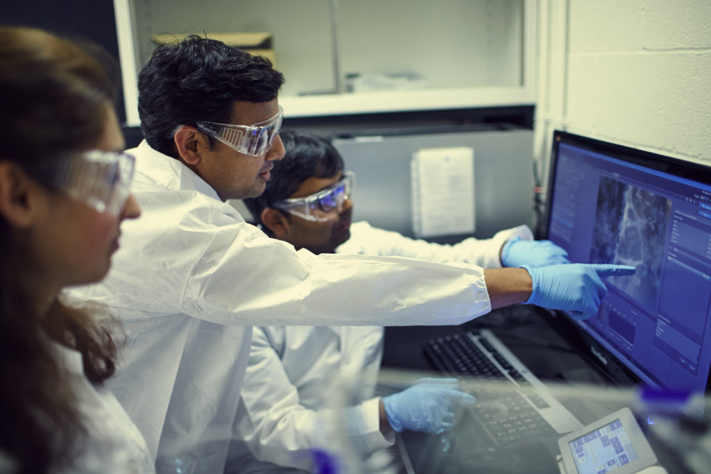 Role of cell group behavior target of 1.9 million award The Source