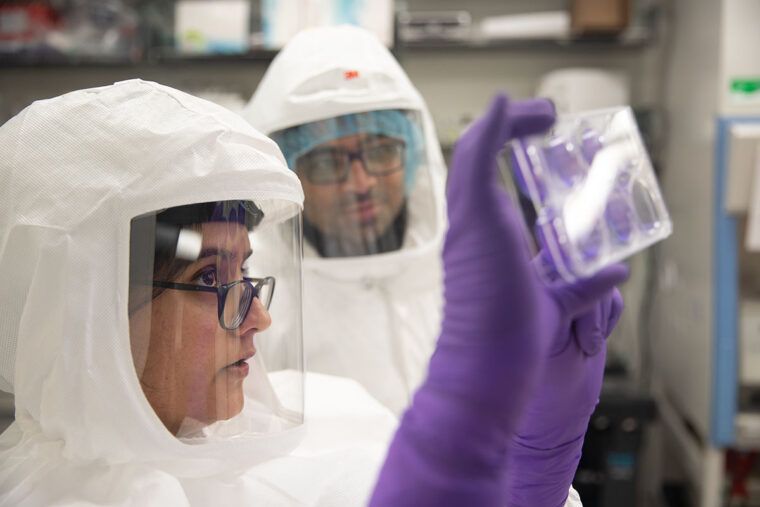 Effort to screen potential COVID19 antiviral drugs