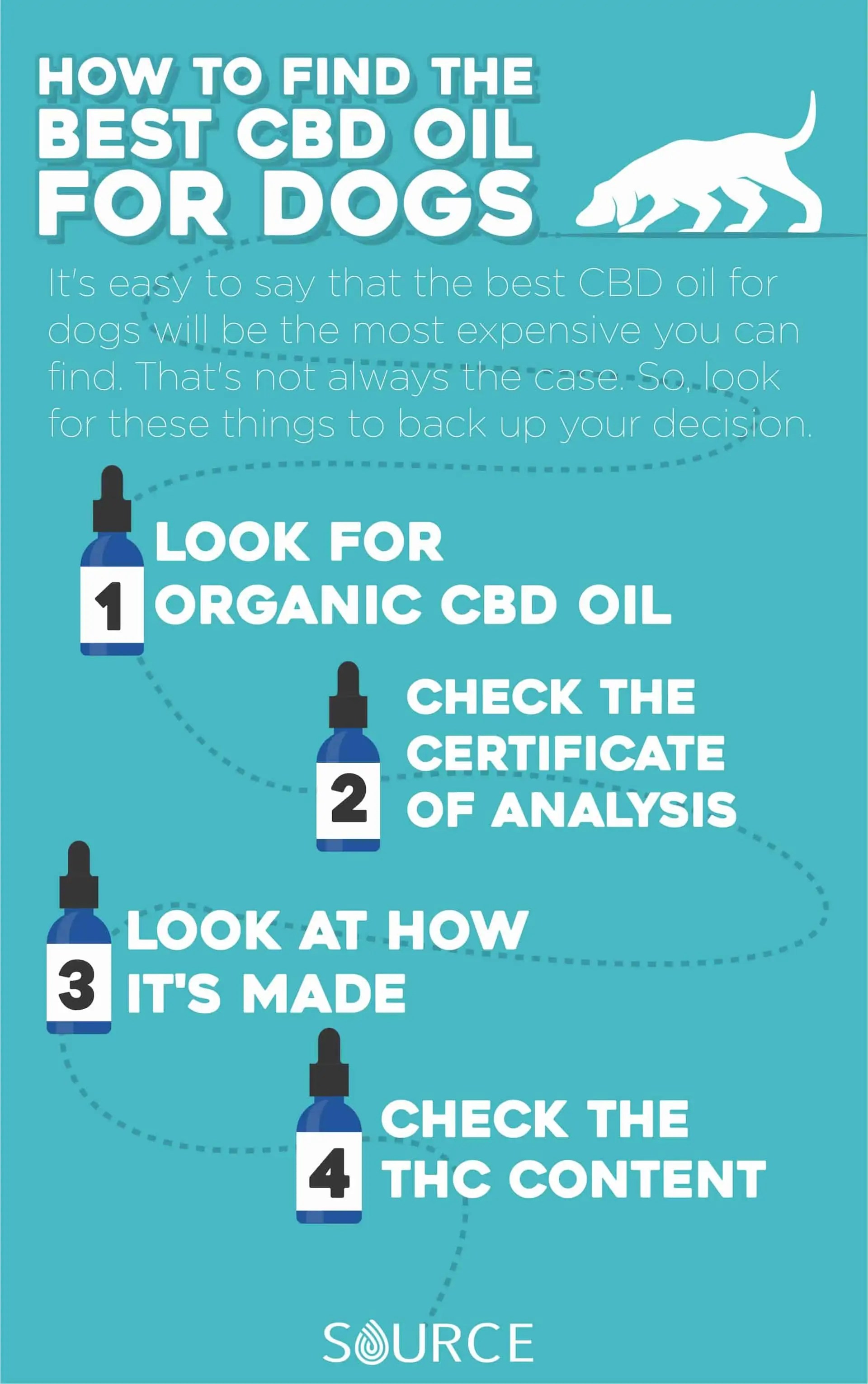 How to Find the Best CBD Oil for Dogs 5 Important Tips
