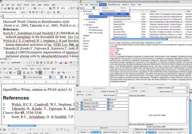 The Best Free Bluebook Citation Generator for Books