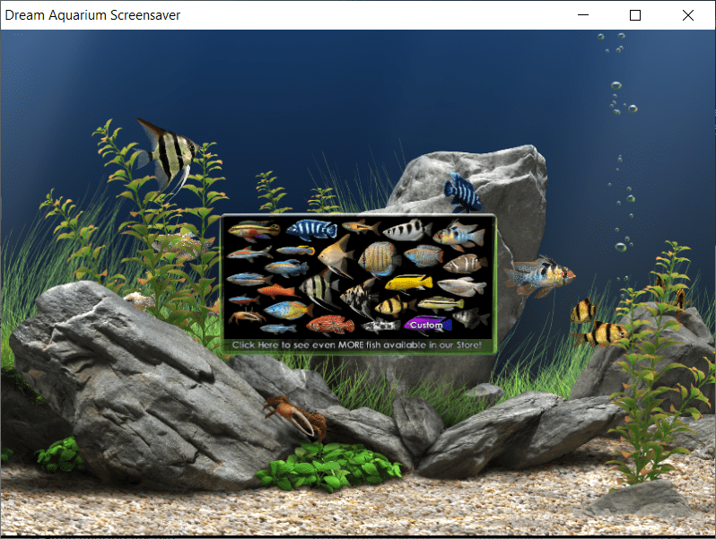 Dxwnd Discussion General Discussion Dream Aquarium Screen Saver