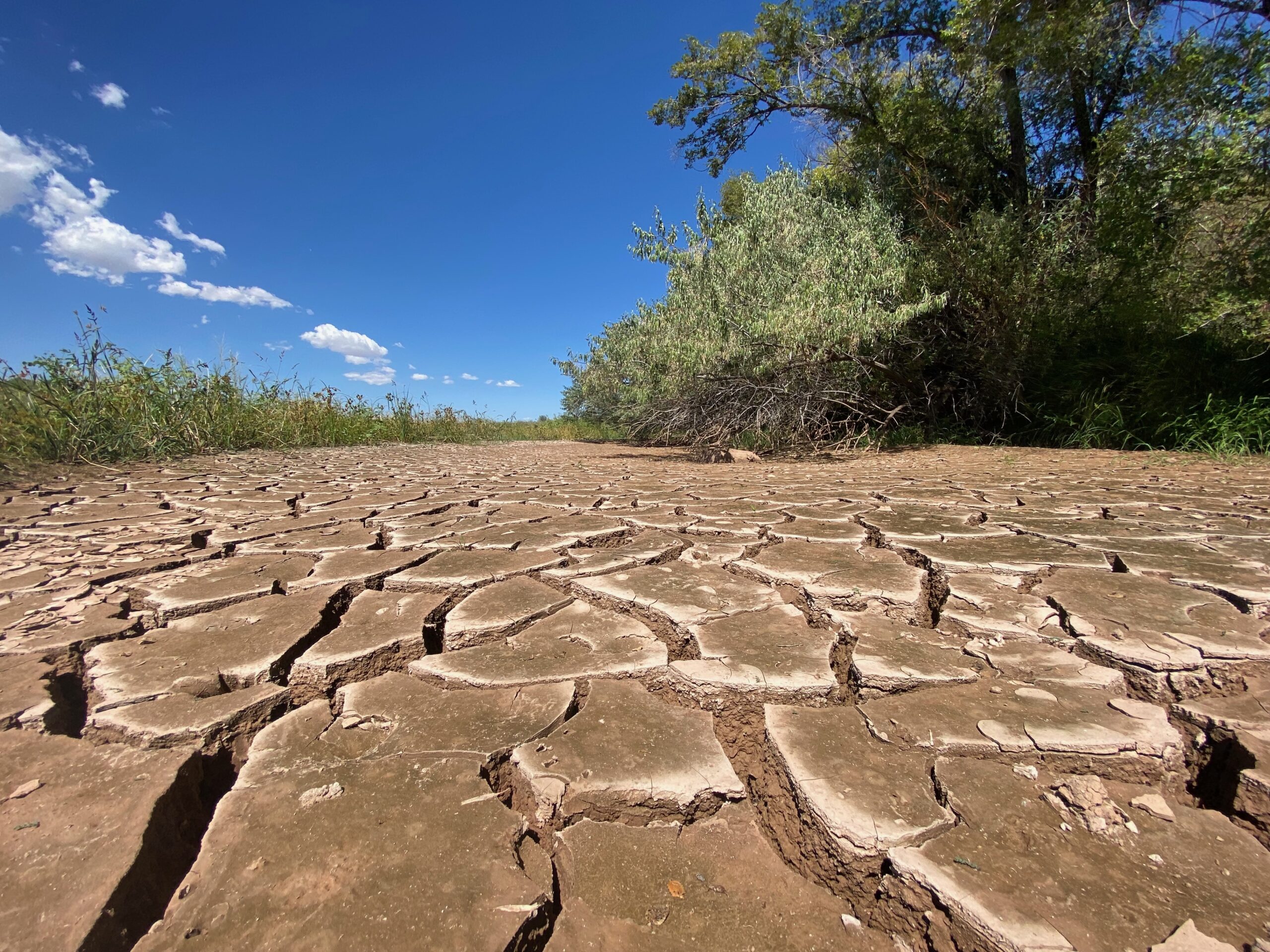 NM water experts legislative session ‘existentially important’ • Source New Mexico
