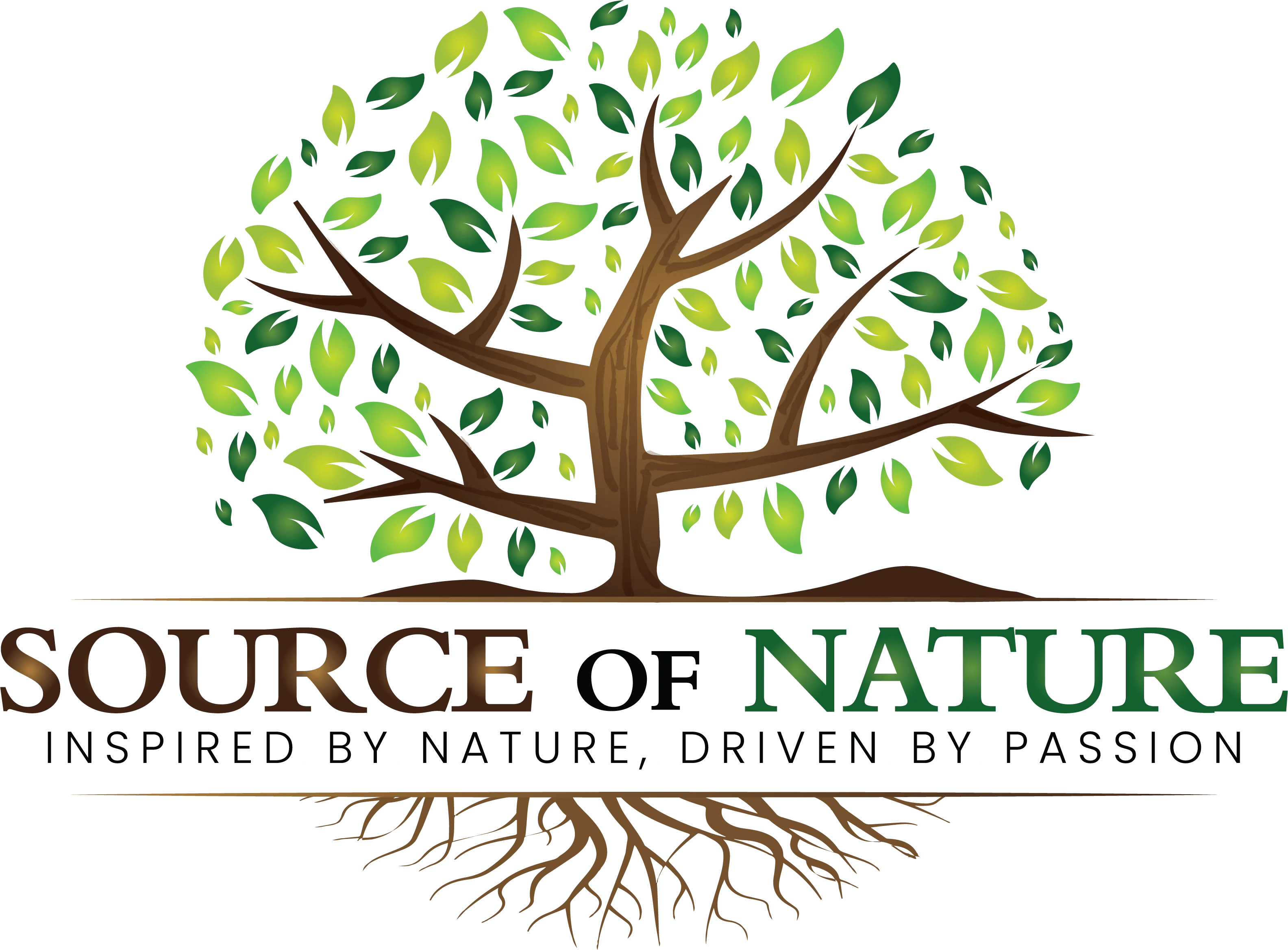 Buy Antiaging Bundle Curcumin, Resveratrol, Magnesium Capsules