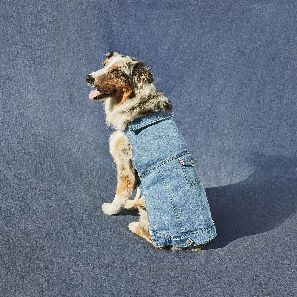 Levi's For Target Home Collection