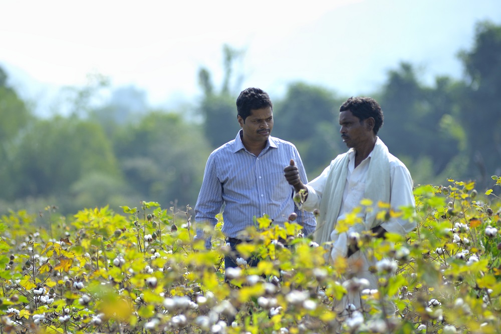 OCA Leads Group Investing in Organic Cotton Growing in India Sourcing
