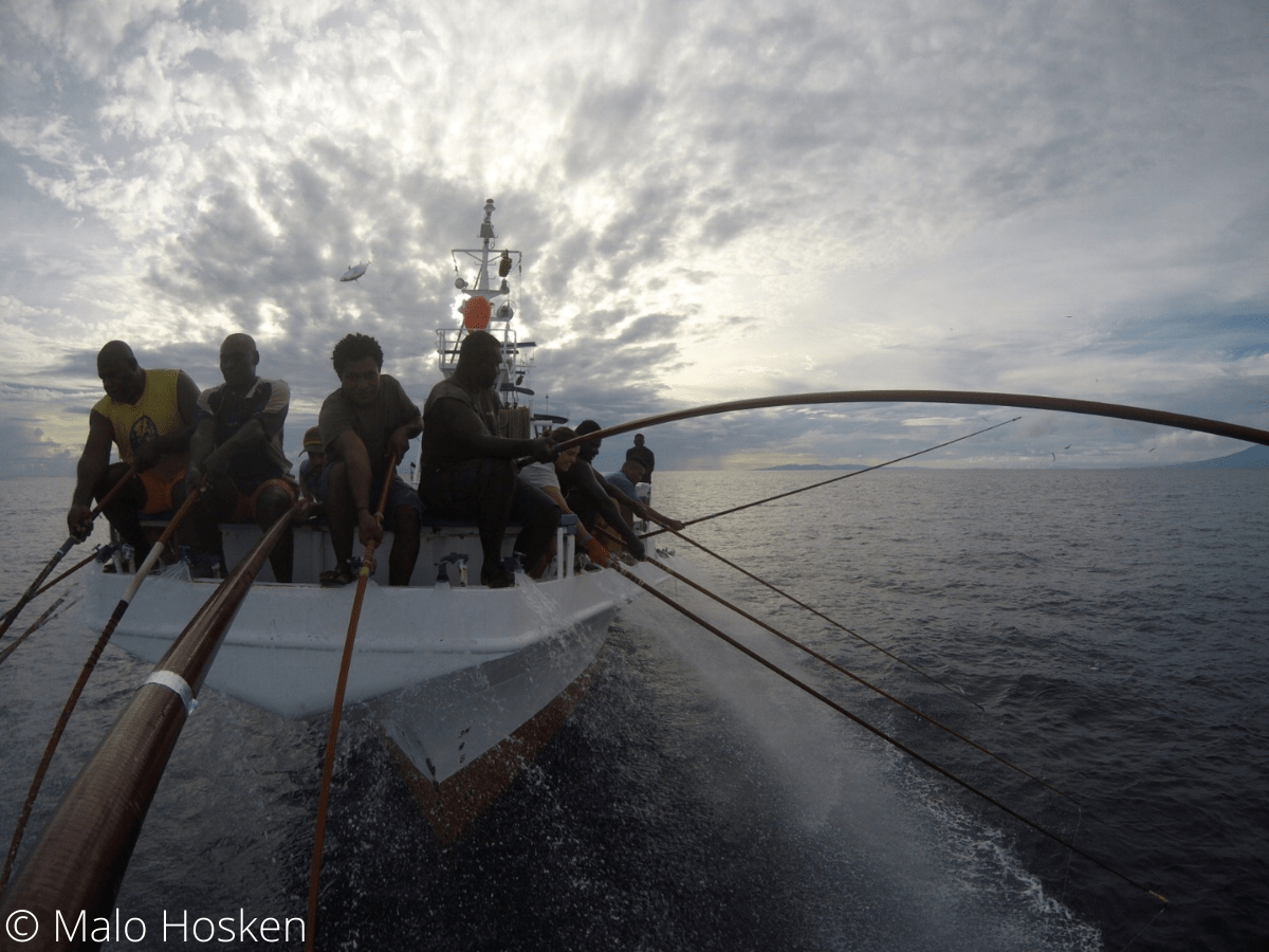 Solomon Islands poleandline yellowfin tuna Sourcing Transparency