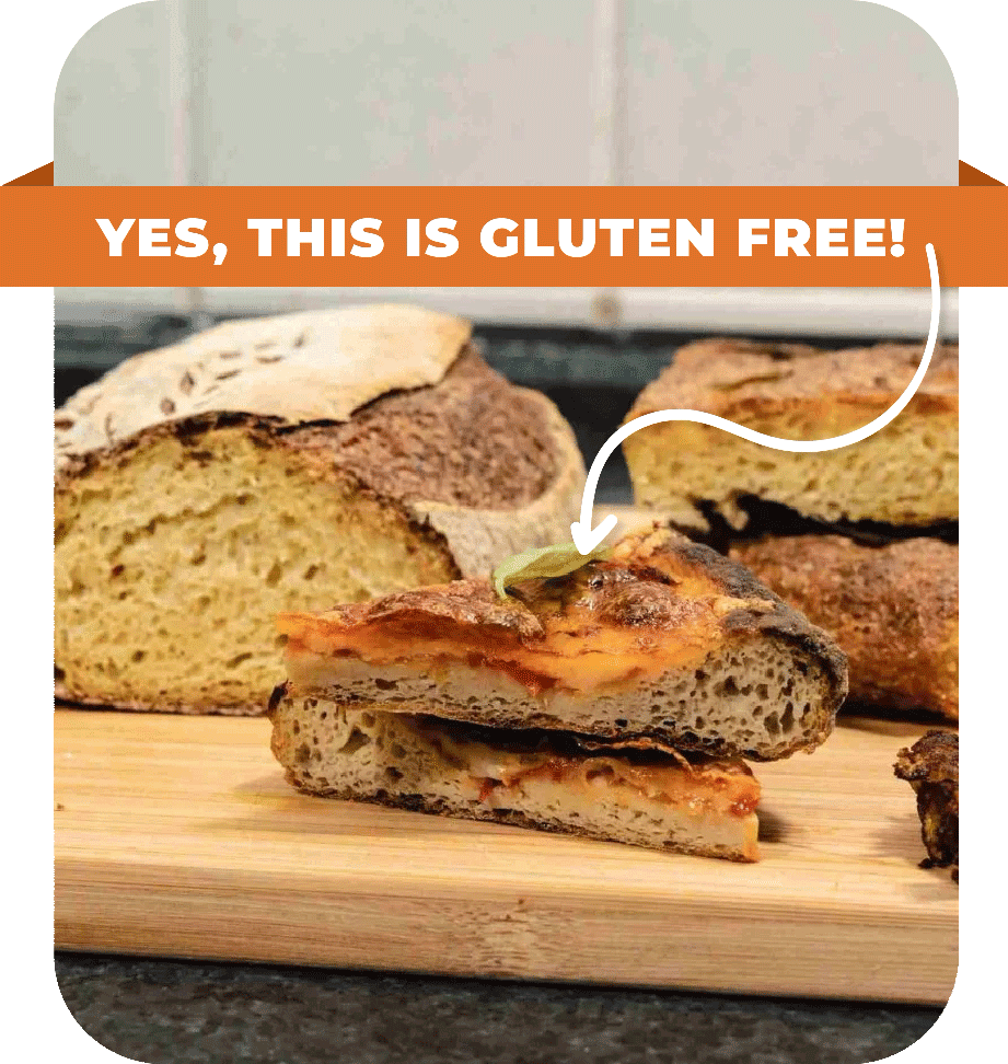 Gluten free landing sourdough mania