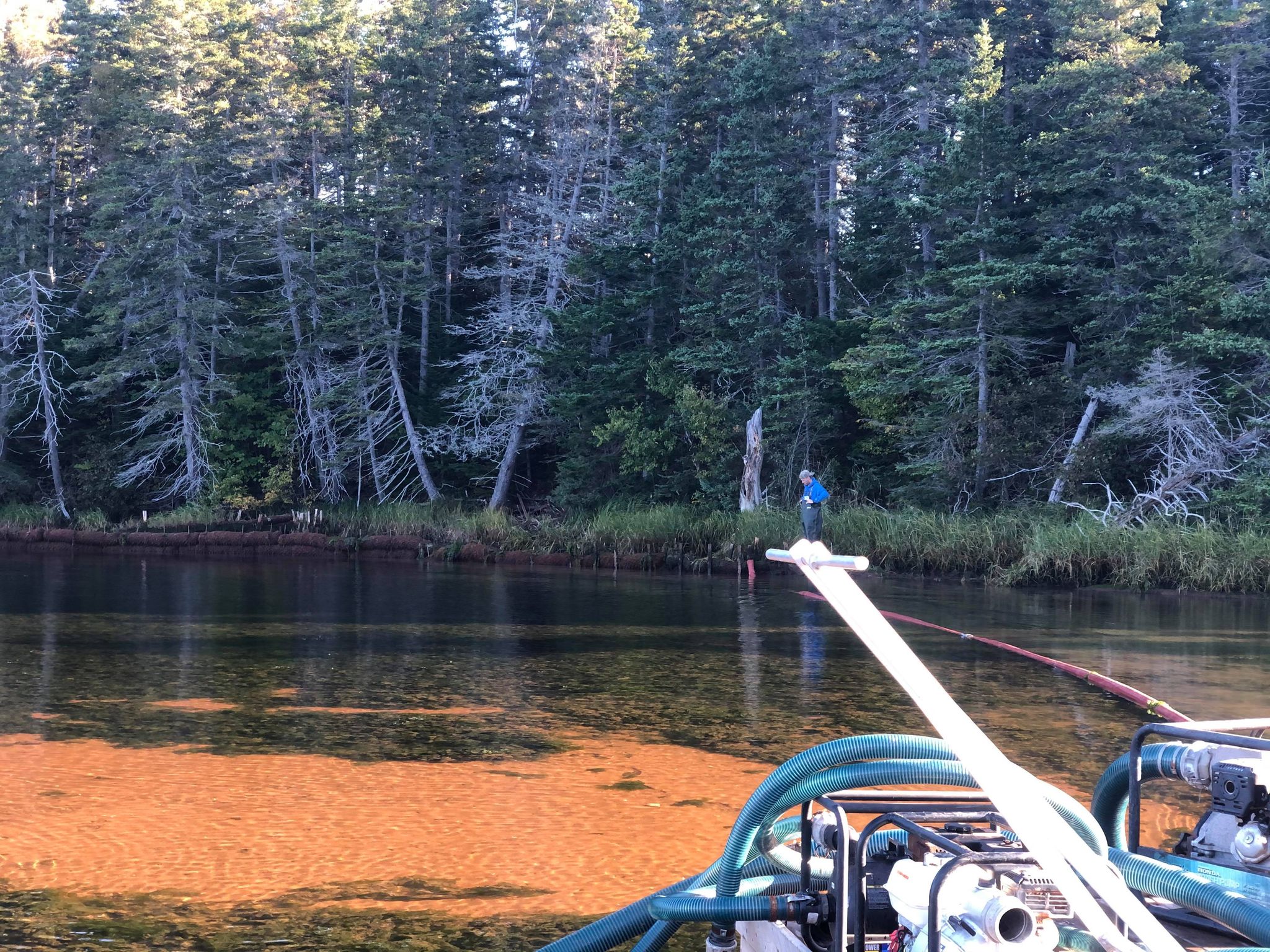 Salt Marsh Restoration of Souris River Souris Wildlife