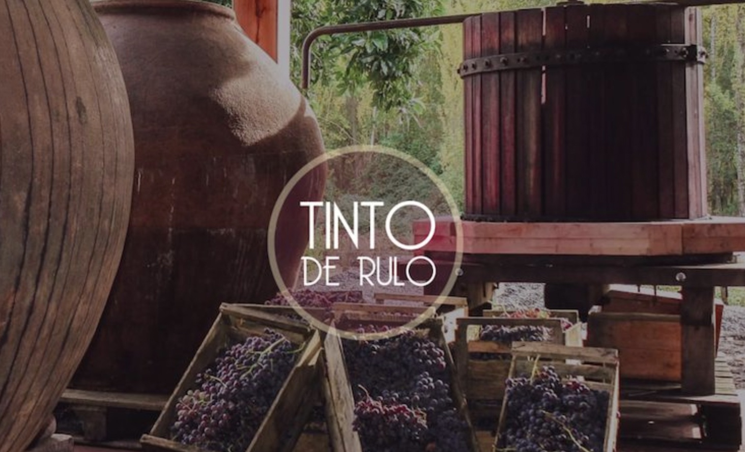 Tinto de Rulo winery Natural wines in Chile, South America Wine Guide