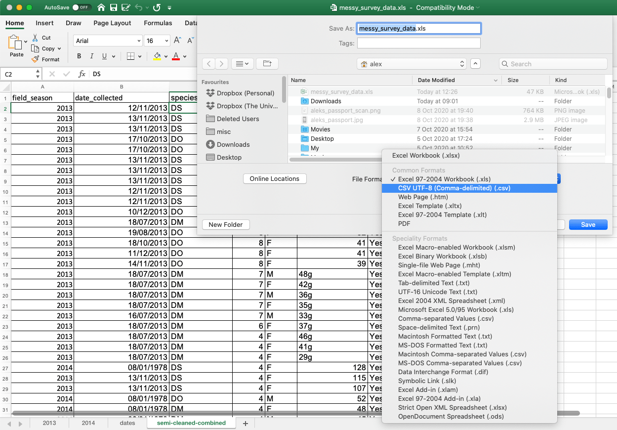 Exporting data Best Practices in Data Organisation Using Spreadsheets