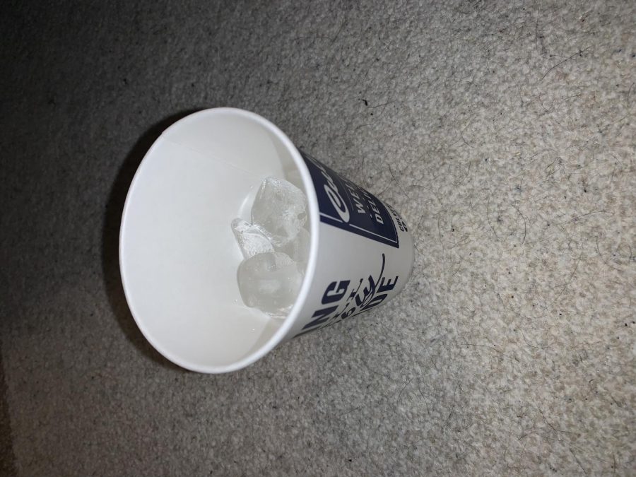 Top 10 ice cubes fast food chains have to offer Blueprint