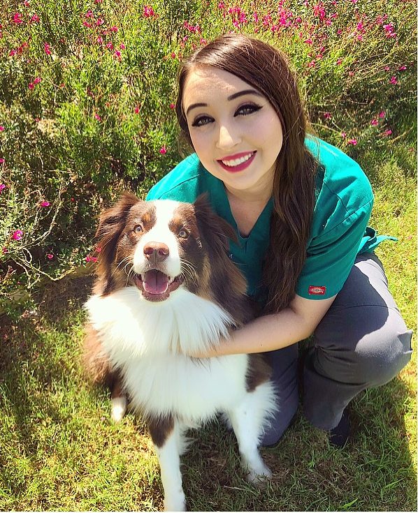 Support Staff in Waco, TX South Bosque Veterinary Clinic