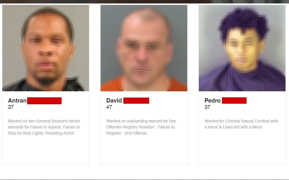 Access Free South Carolina Arrests & Criminal Records(03)