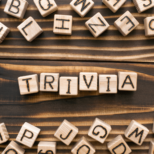 Trivia Night at Audrey's Coffee House & Lounge Where Fun Meets