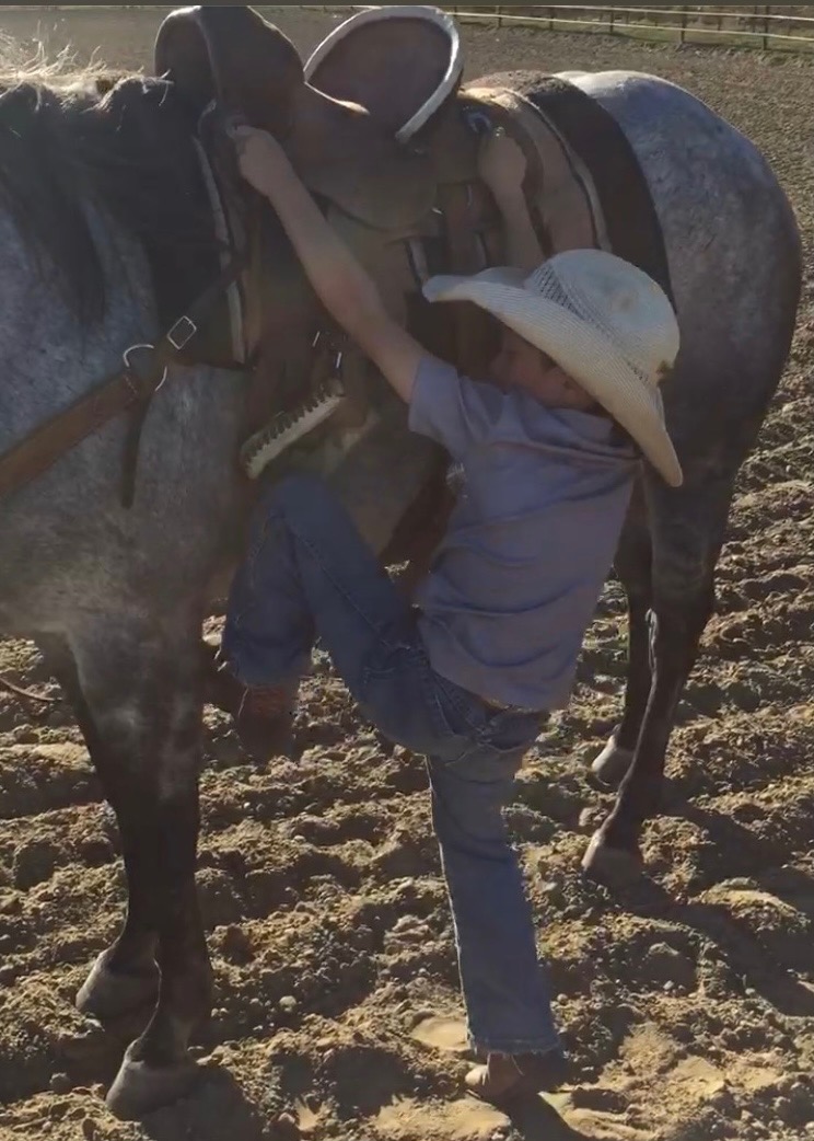 South Dakota's Elite Horse Sale Horses that are ridden by horsemen