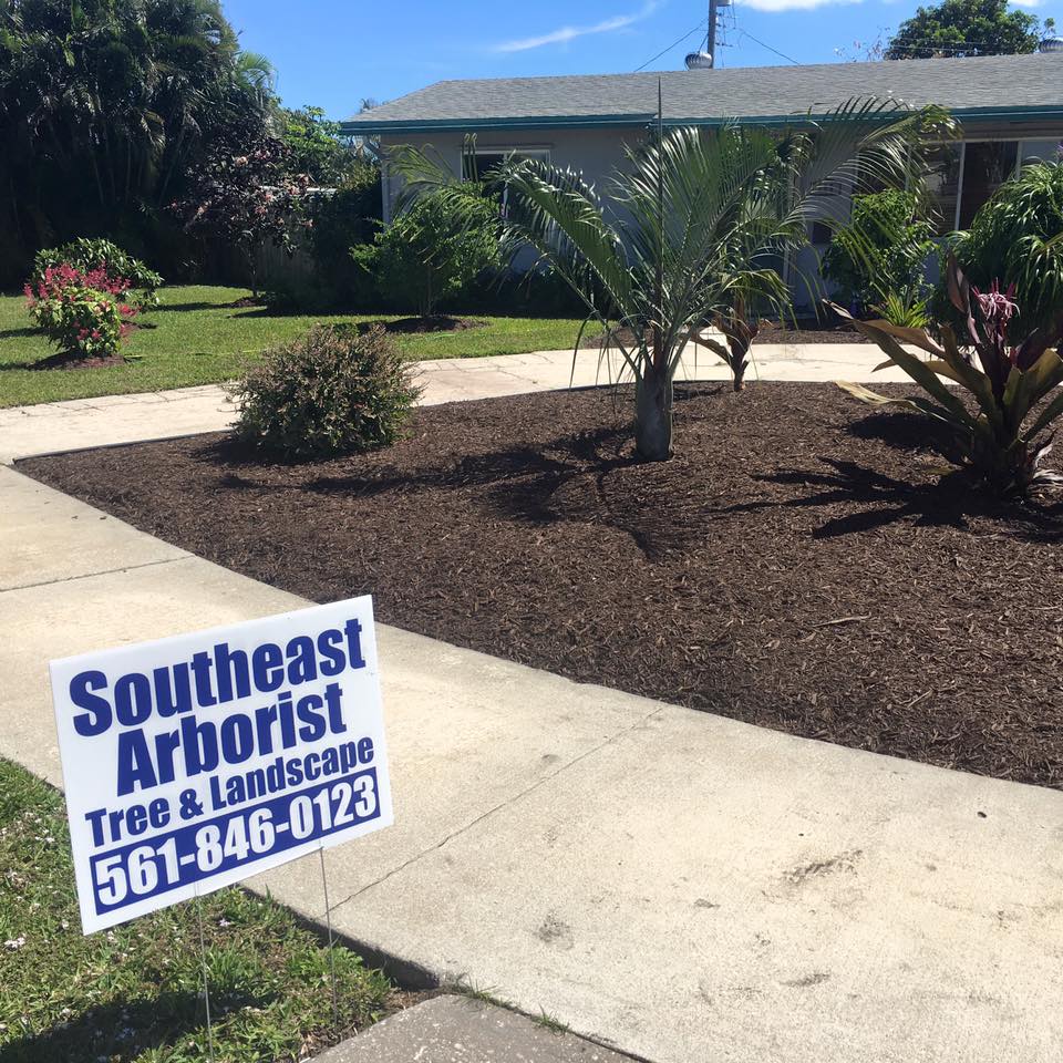 Landscape design in North Palm Beach, FL Tree Service in
