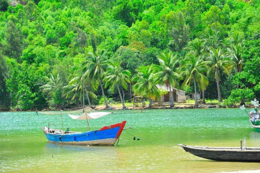 The Buffalo Run! Vietnam's Must Do Adventure for Backpackers!