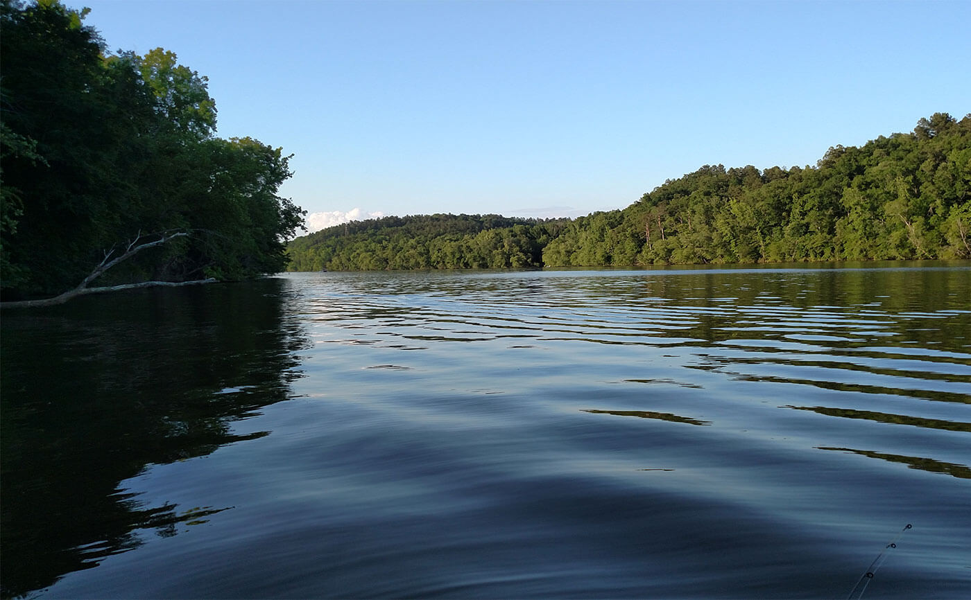 Forestry Services & Land for Sale in SC, NC, GA, FL & more