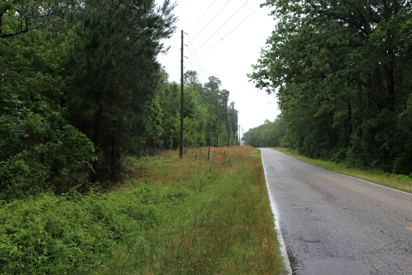 Lake Robinson Longleaf Farm, Chesterfield County, SC, Recreational