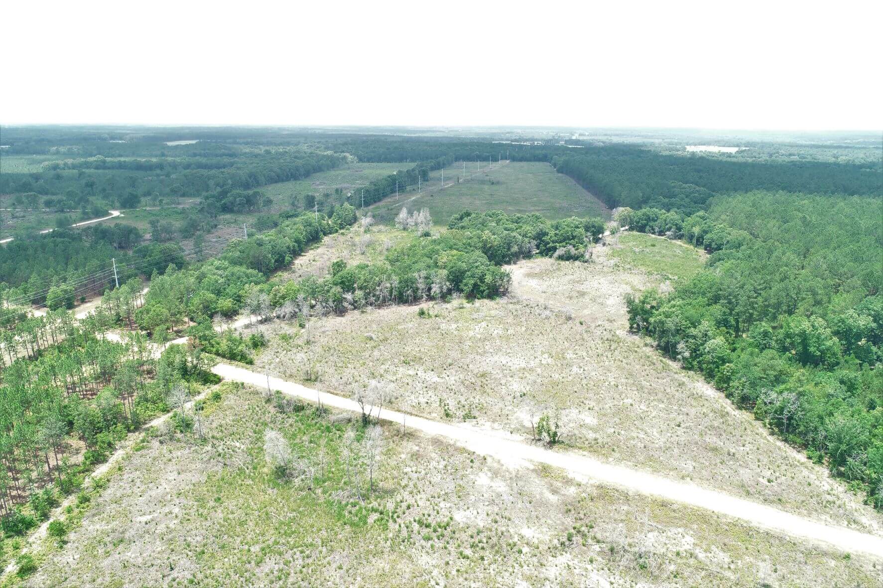Longleaf Pines , Orangeburg County, SC, Recreational/Timberland, SE