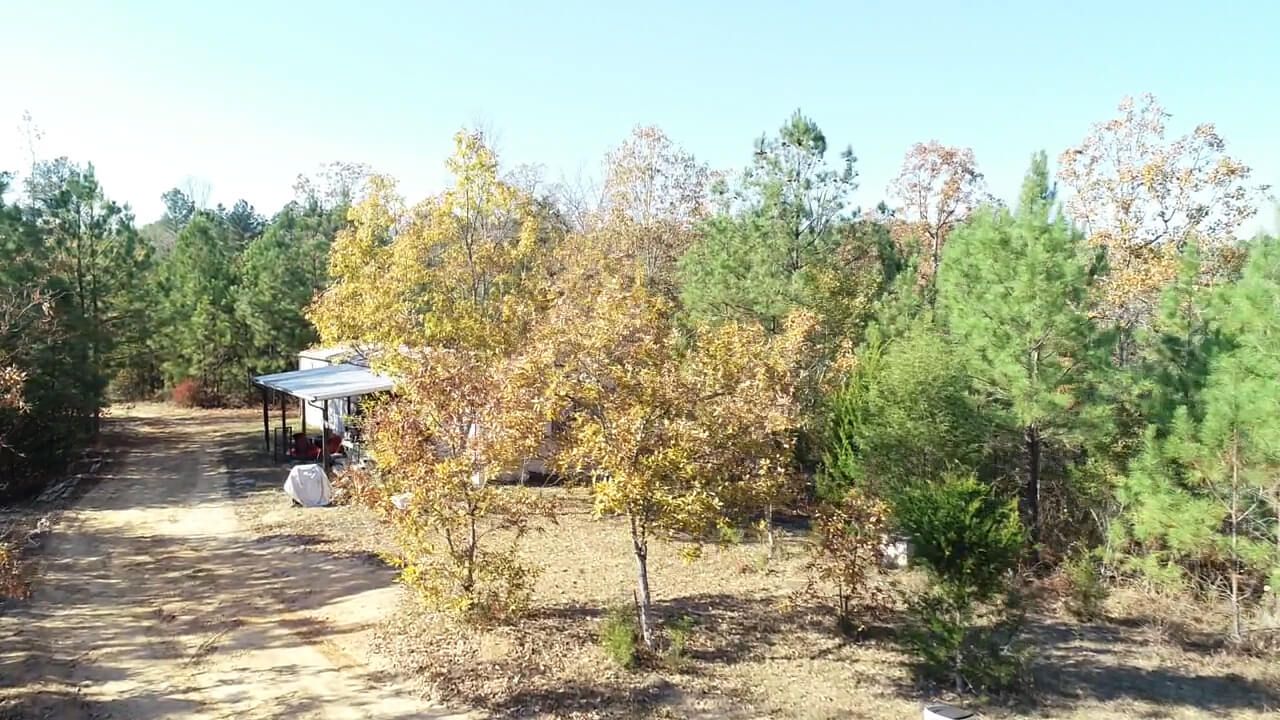 Westwood Farms, Newberry County, SC, Recreational/Timberland, SE Forestry