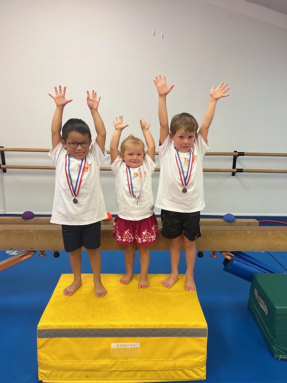 Gymnastics Summer Camps Gymnastics Charlotte NC Youth Gymnastics