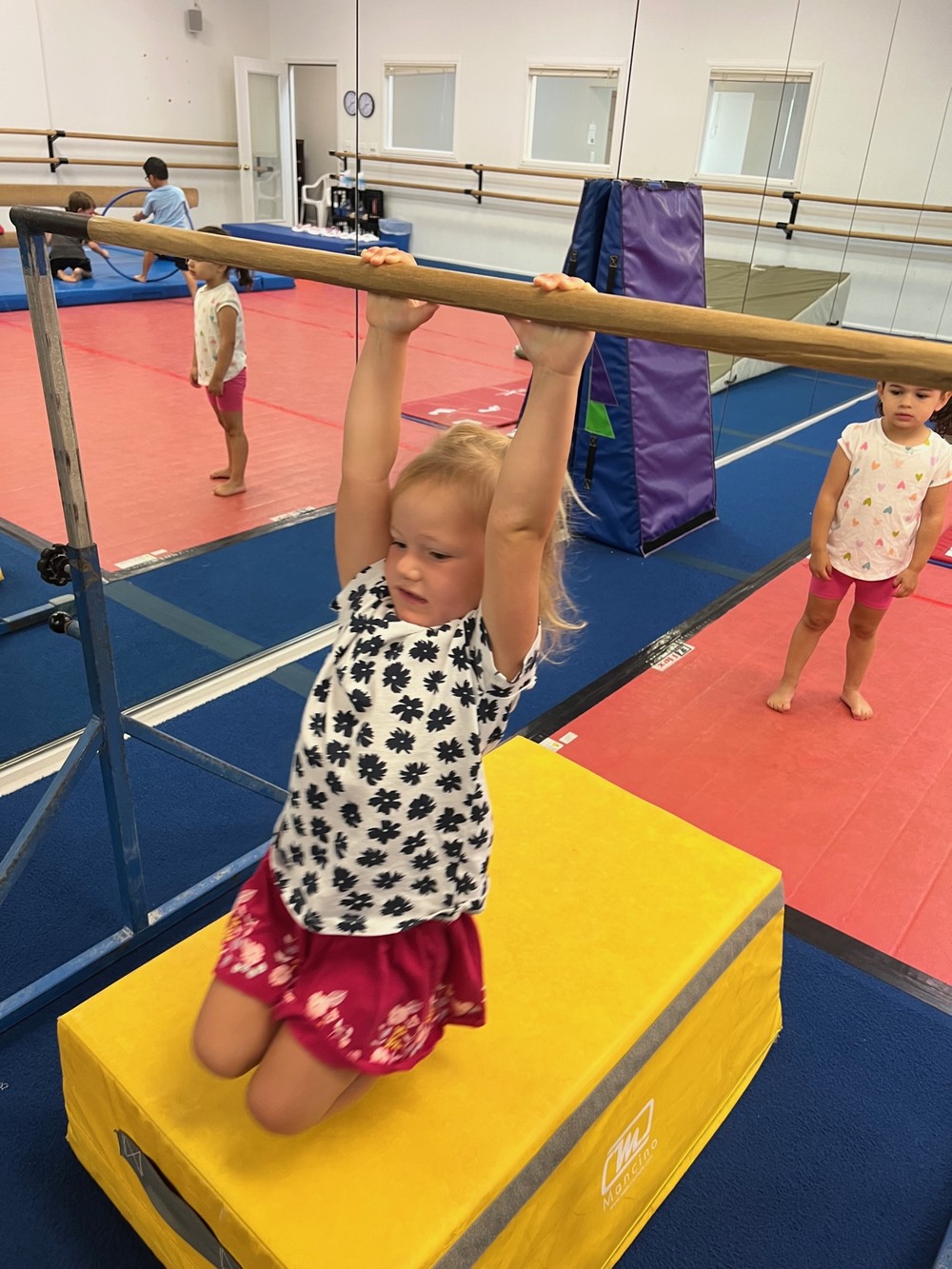 Gymnastics Summer Camps Gymnastics Charlotte NC Youth Gymnastics