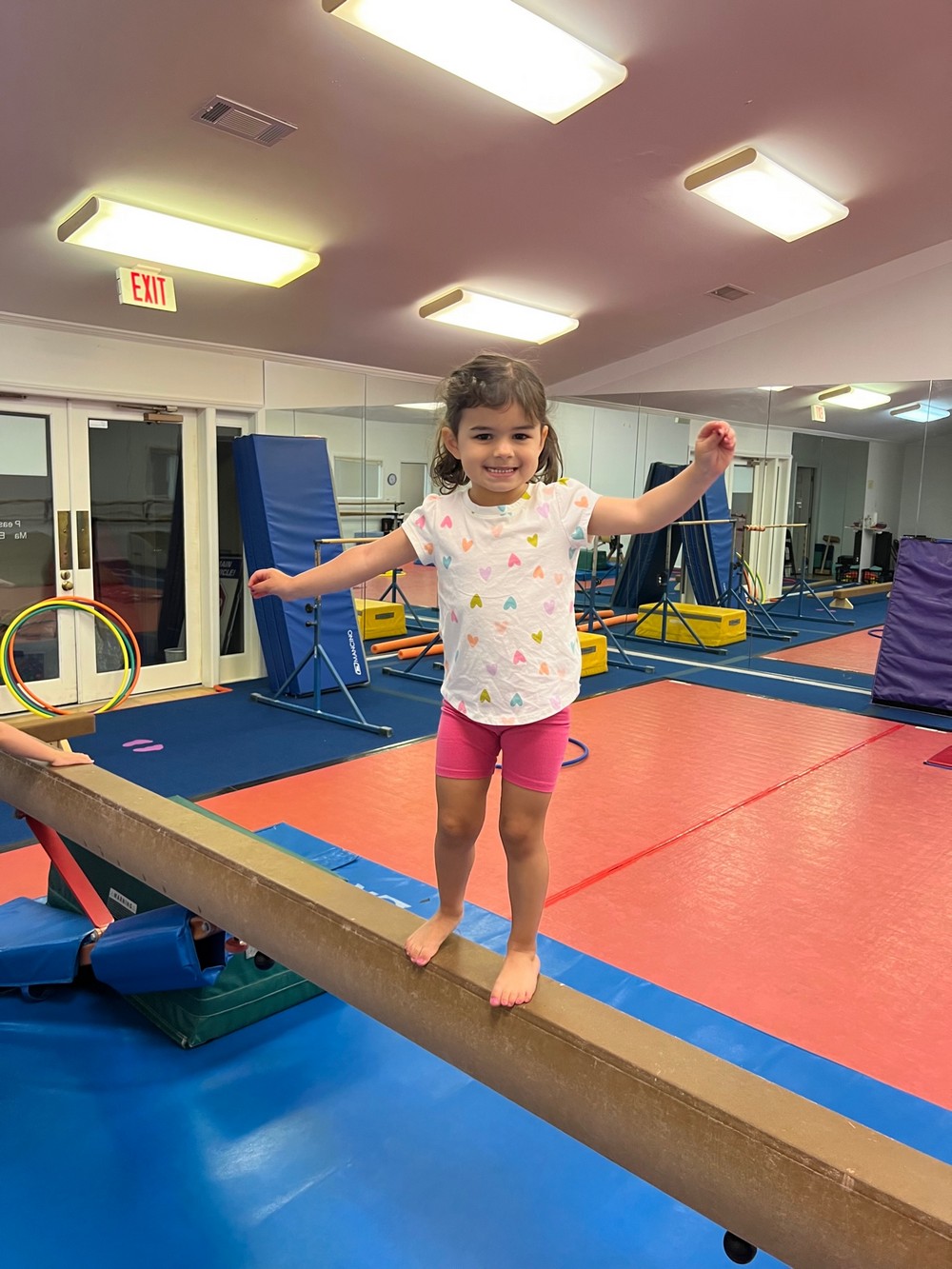 Gymnastics Summer Camps Gymnastics Charlotte NC Youth Gymnastics