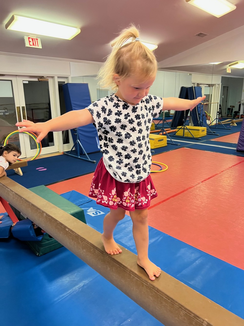 Gymnastics Summer Camps Gymnastics Charlotte NC Youth Gymnastics