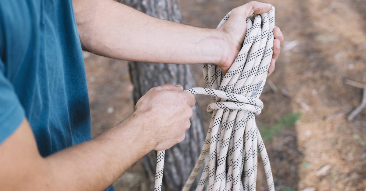 Everything You Need to Know About Tree Ropes Southeast Rigging
